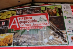 JAGUARIBE-8